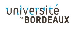 Logo ULB - Dr Ivan Colet, Docteur en Médecine, Licencié en Sciences Dentaires et Consultant à l'Université Libre de Bruxelles